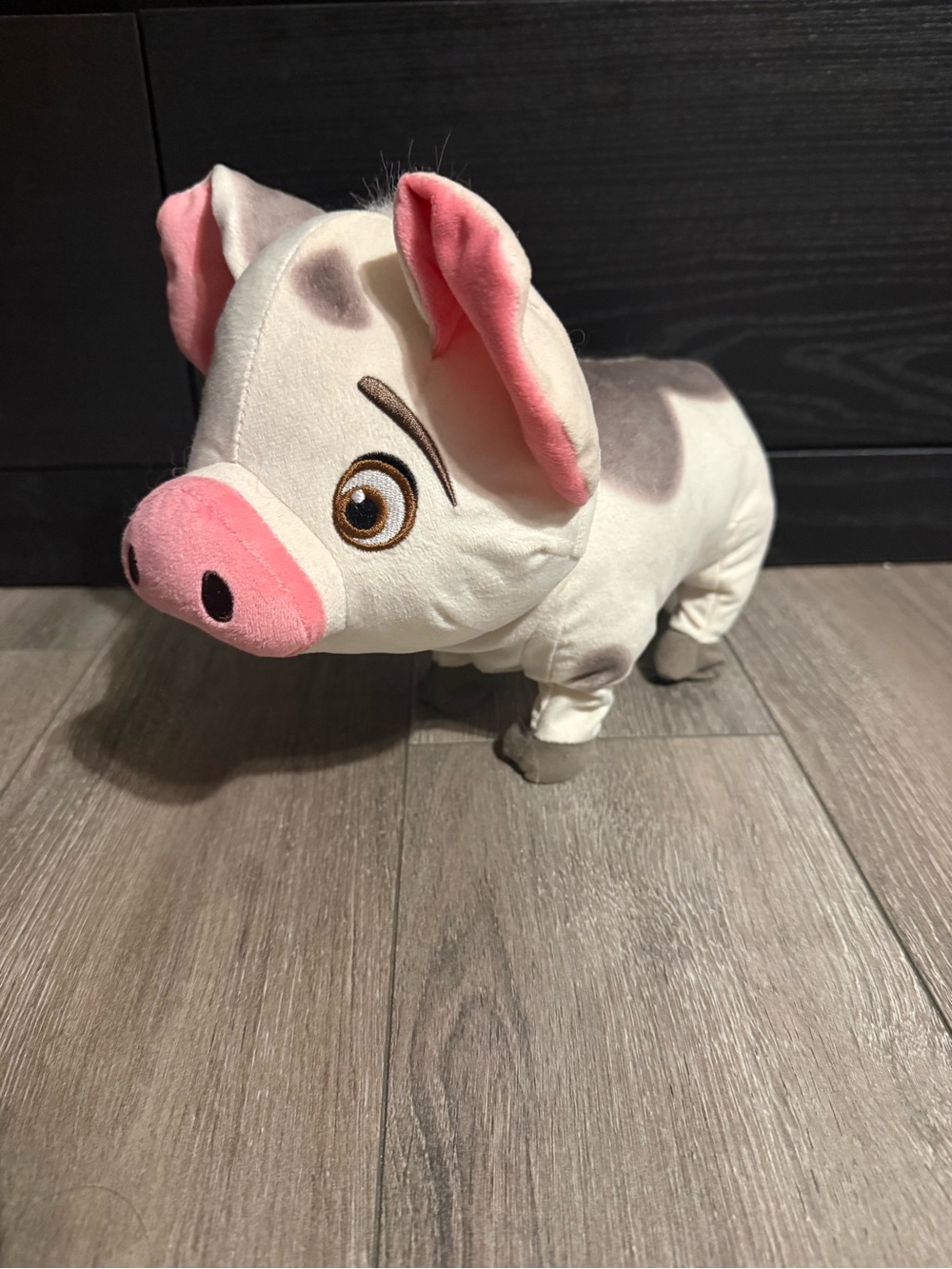 Pua Walk & Talk Toy